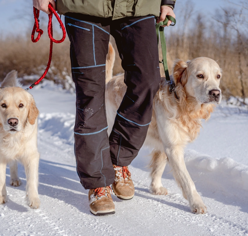 Discover the magic of winter trails