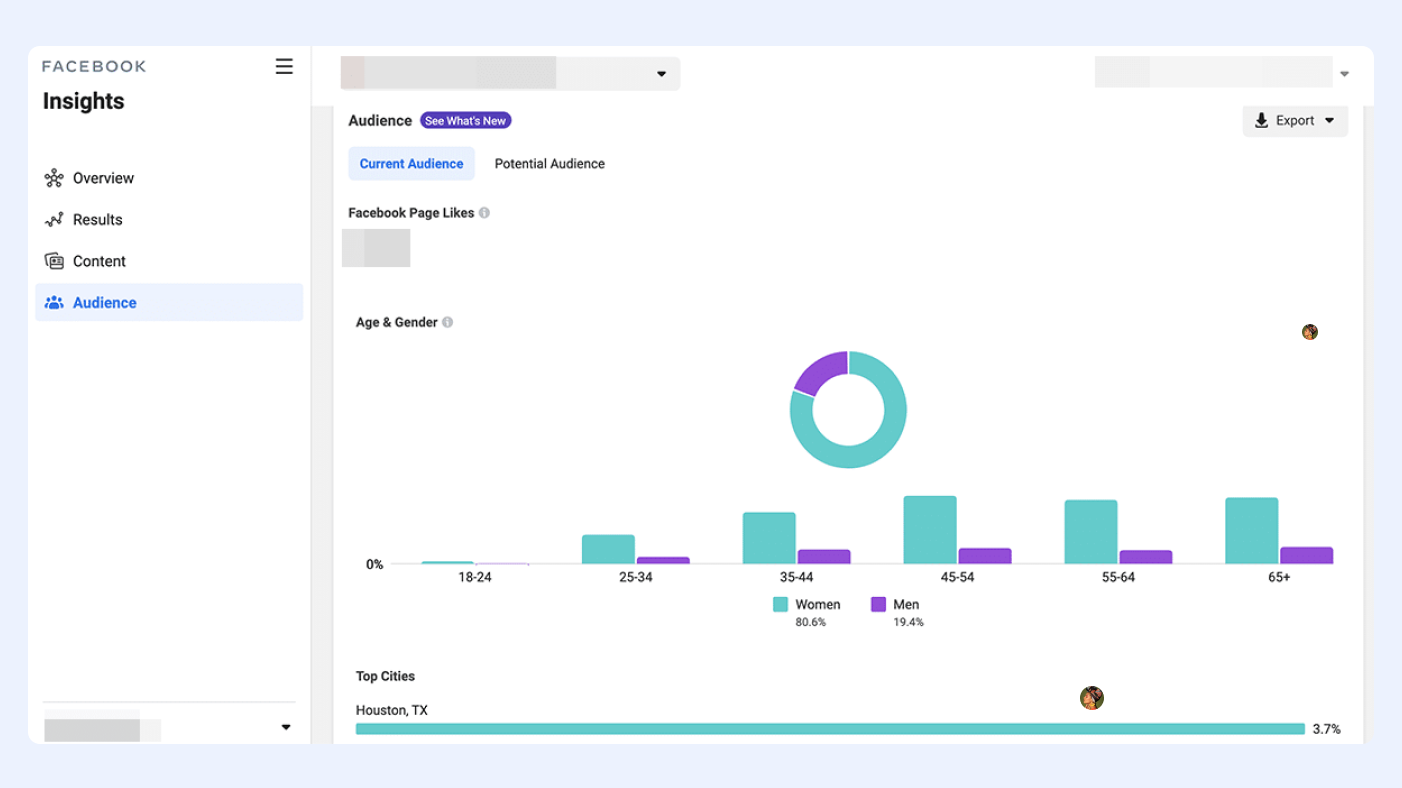 Statistics from Facebook Audience Insights