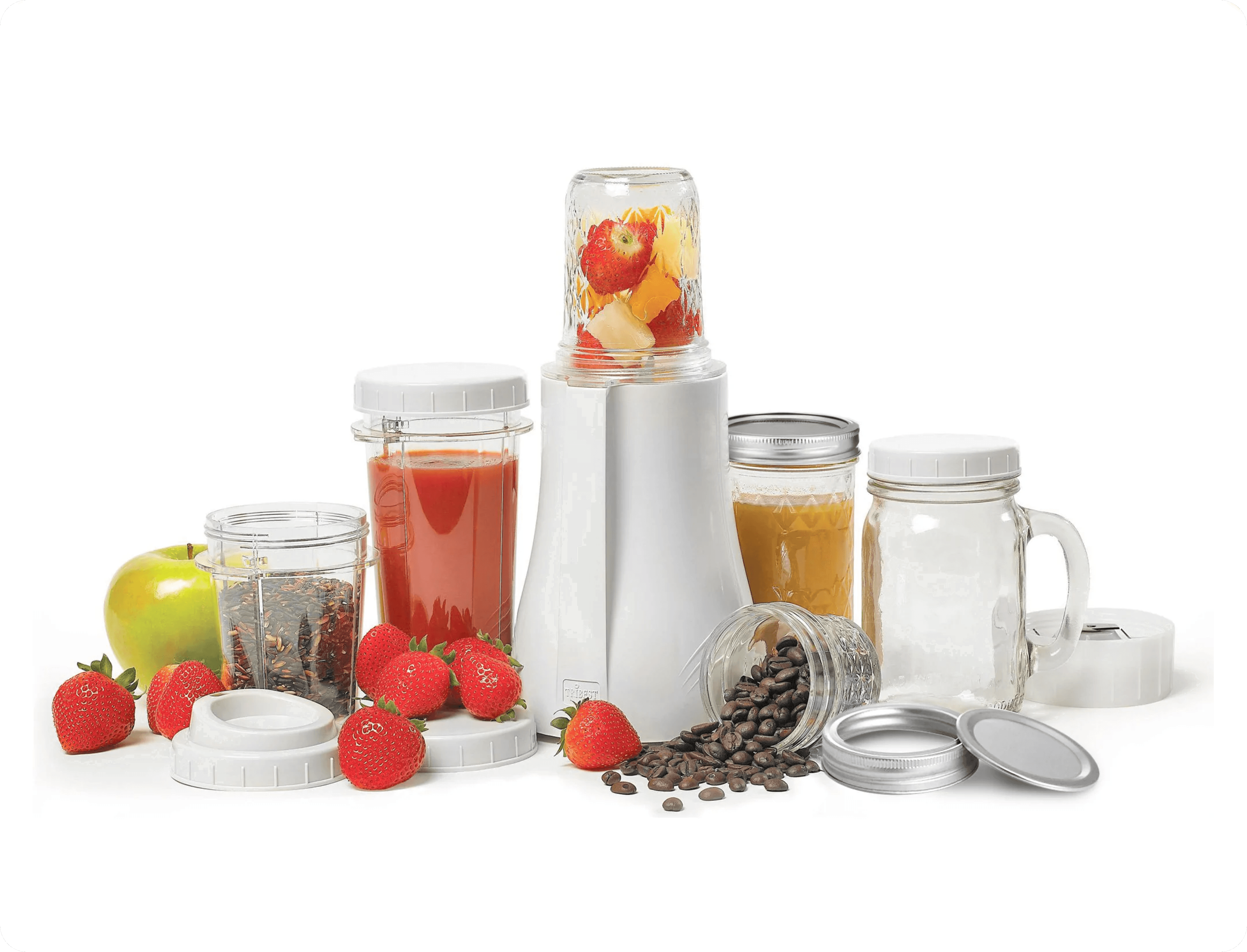 Tribest Personal Blender